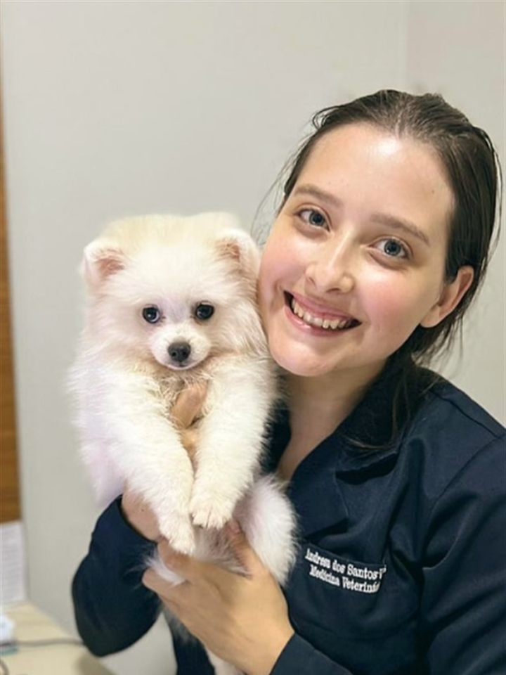 Dra. Andresa Veras, médica-veterinária, em atendimento no consultório